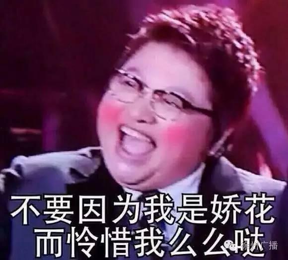 韩红痛哭表情包,情感共鸣的瞬间