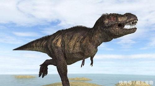 被称为娱乐圈 恐龙,揭秘那些屹立不倒的传奇人物